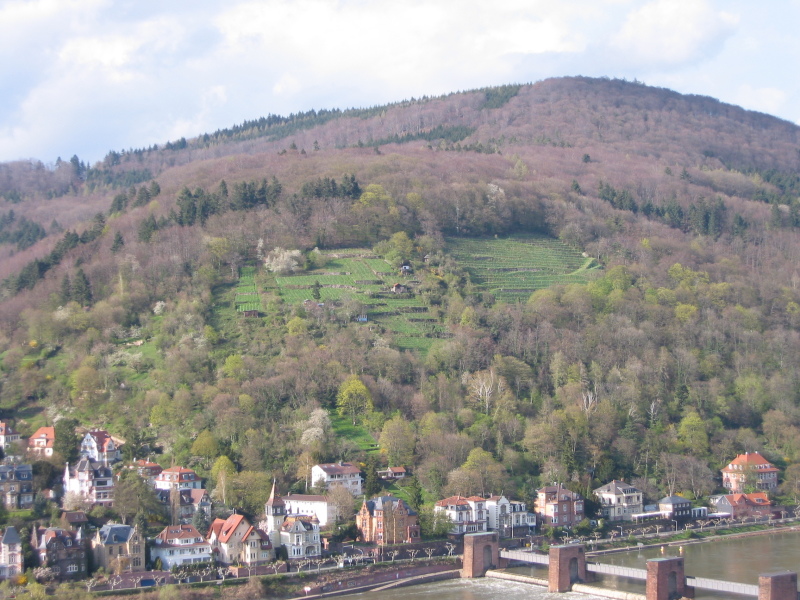 2005/04 April/Germany/800x600_IMG_1668.JPG